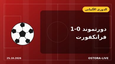 دورتموند يهزم فرانكفورت ويضع بايرن ميونخ تحت الضغط قبل مواجهة فرايبورج