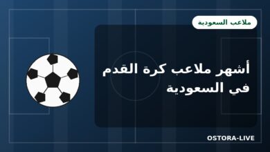 أشهر ملاعب كرة القدم في السعودية: من الجوهرة إلى ملعب الملك فهد